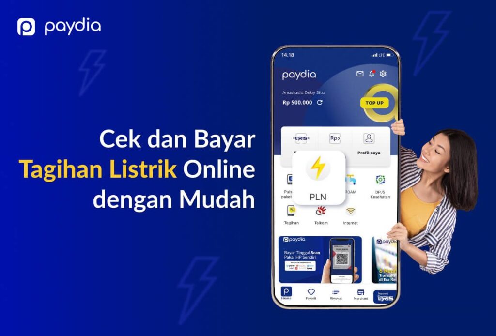 Macam Jenis dan Cara Cek Bayar Tagihan Listrik PLN Online Mudah